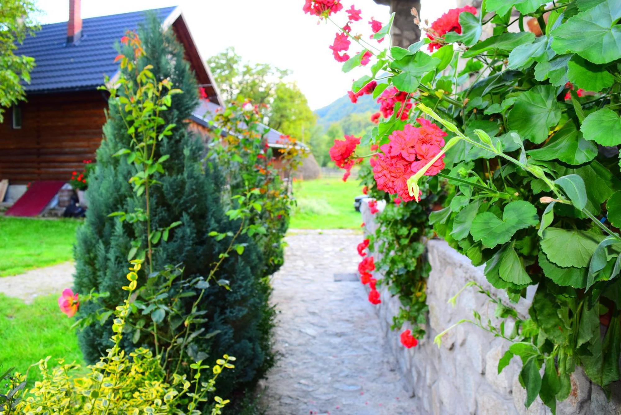 Valea Drăganului Casa Morar 빌라 외부 사진
